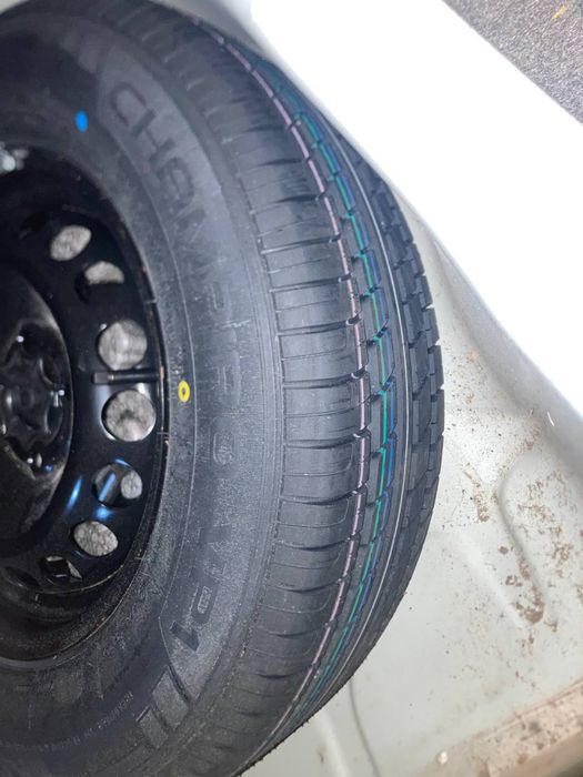 2020-21 yil kraskasi tozaa