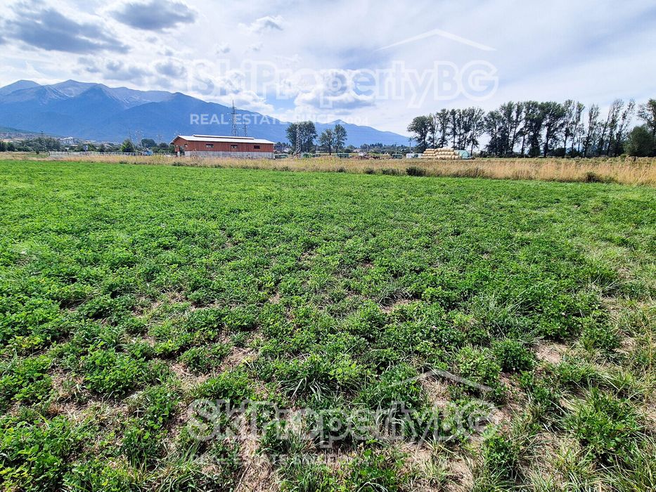 Предлагаме два съседни имота за продажба!