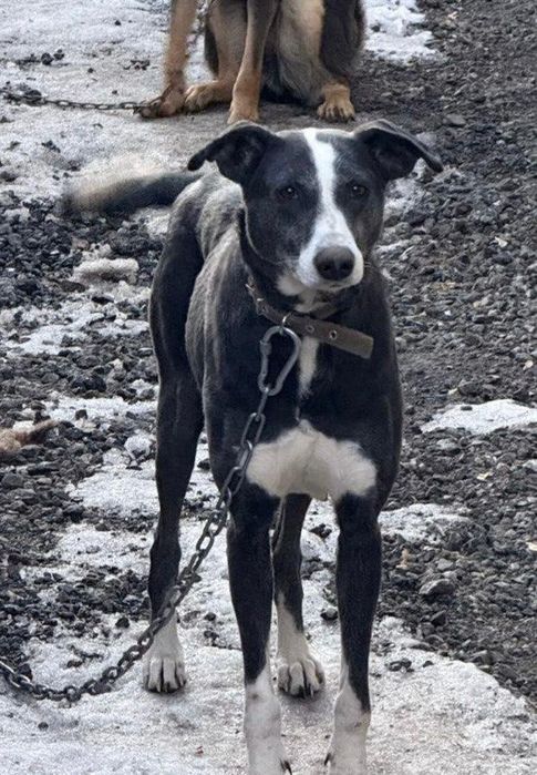 Астана! Добрых родителей малышке!