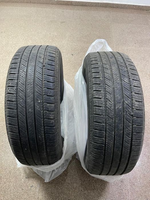 летние шины R19 пара