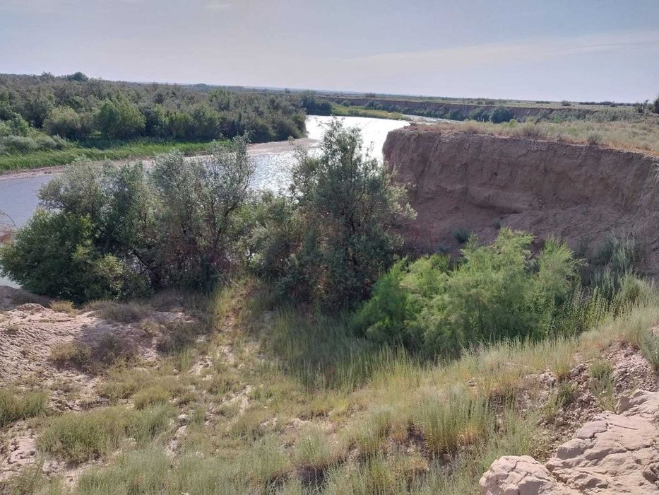 Суармалы жер 365 га