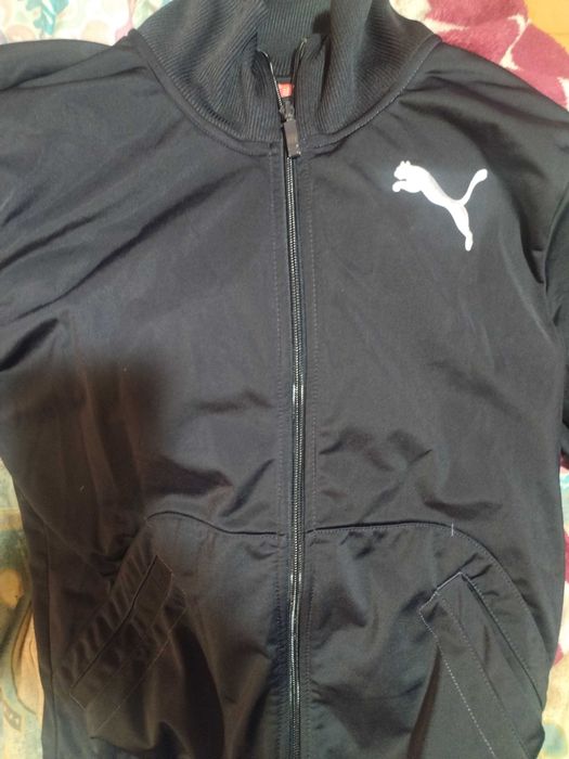 Trening Puma original