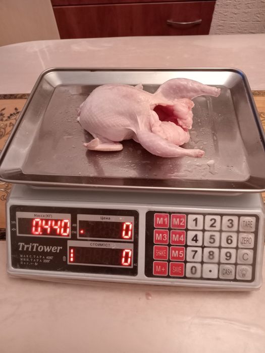 Продам перепелов