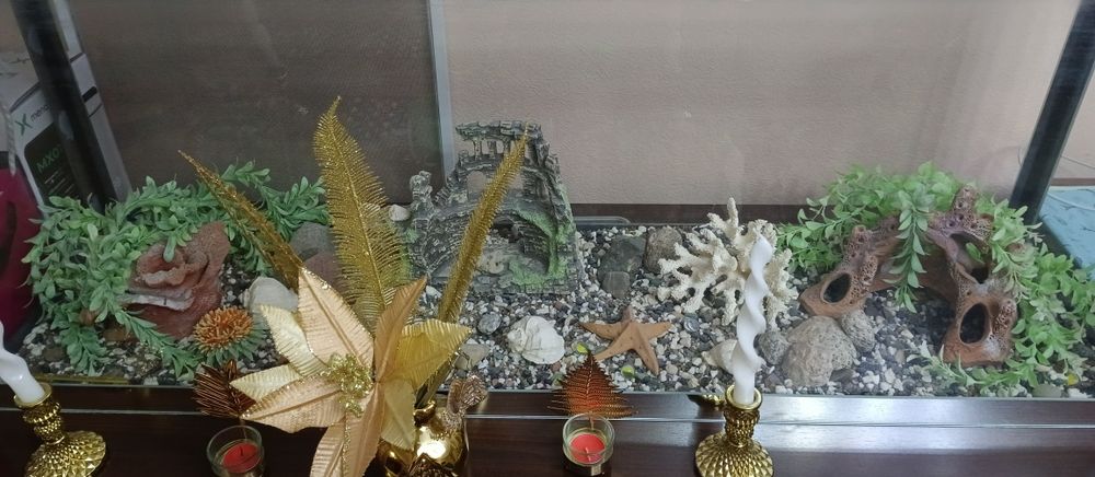 Продам аквариум 250 л.