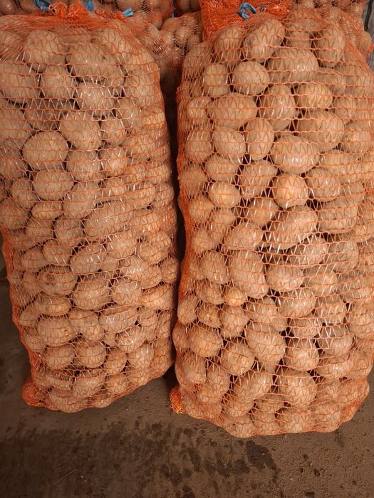 Cartofi pentru animale