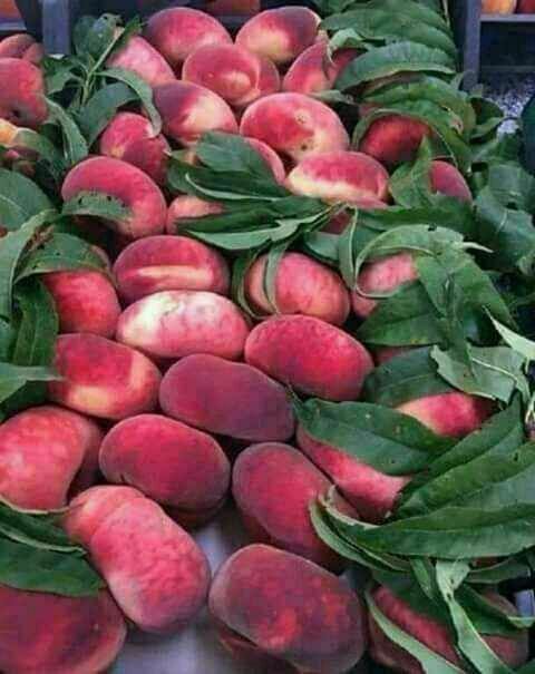 Karlek va polekarlek kuchatlar