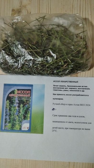 Иссоп лекарственный от кашля