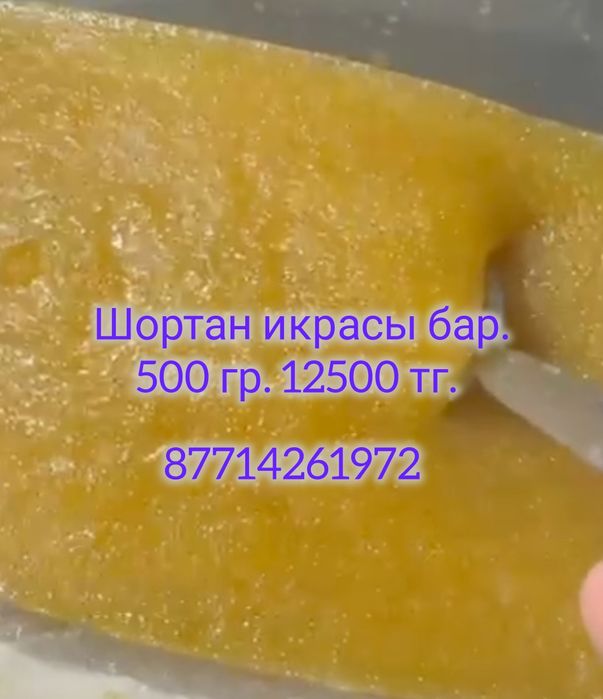 Икра щуки /шортан икрасы