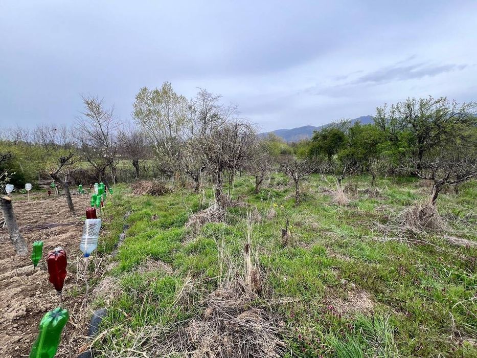 Живописен Парцел 251 кв. в Казанлък и Енина - Вилна Зона "Старите Лозя"