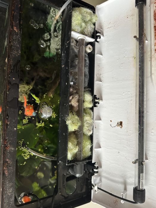 Аквариум за рибки