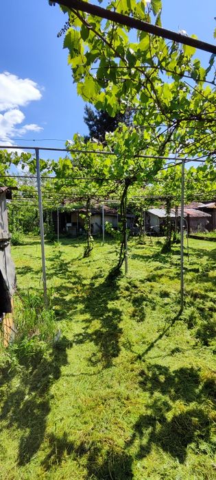 Продава се Парцел в Ловеч, Продимчец - 1300 кв.м за 14 €/кв.м - Снимка #3