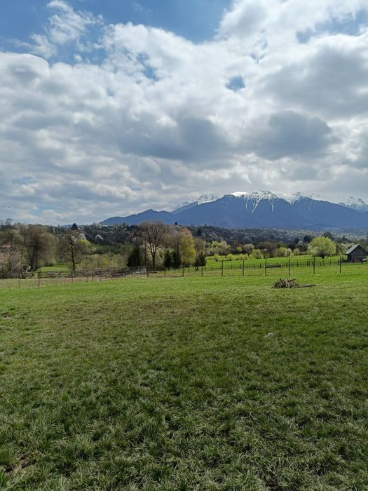 Teren de vânzare Sohodol Bran - proprietar