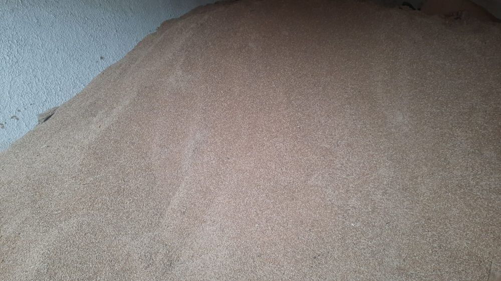 De vânzare triticale