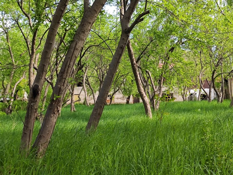 Дом двух этажный 11-соток