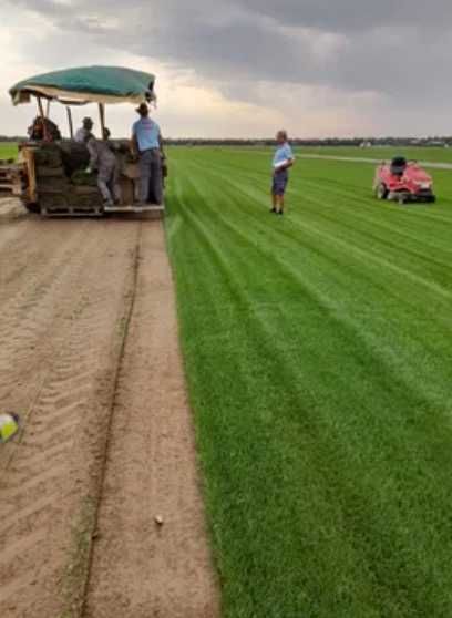 Gazon Verde Tot Anul – Echipa Noastră Asigură Montajul pe Loc