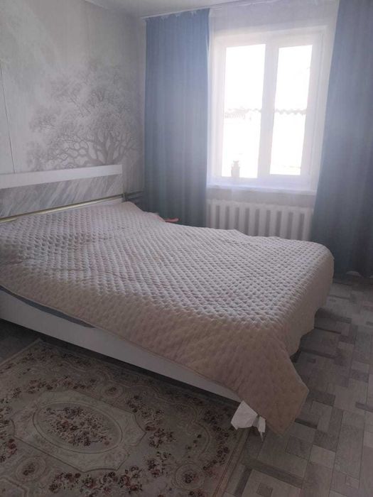 3 комнатный дом. с. Якорь.