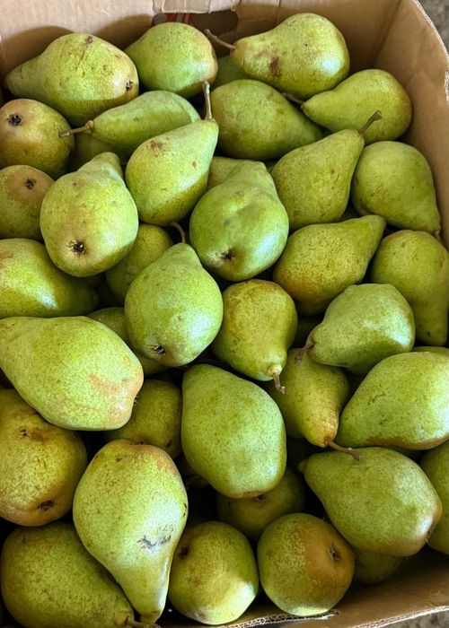 Vand mere 2.5lei/kg si pere 4 lei/kg