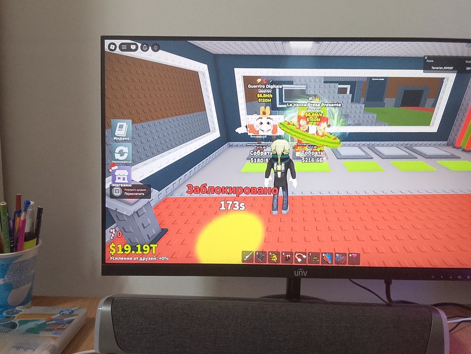 Учетка Braienrooth