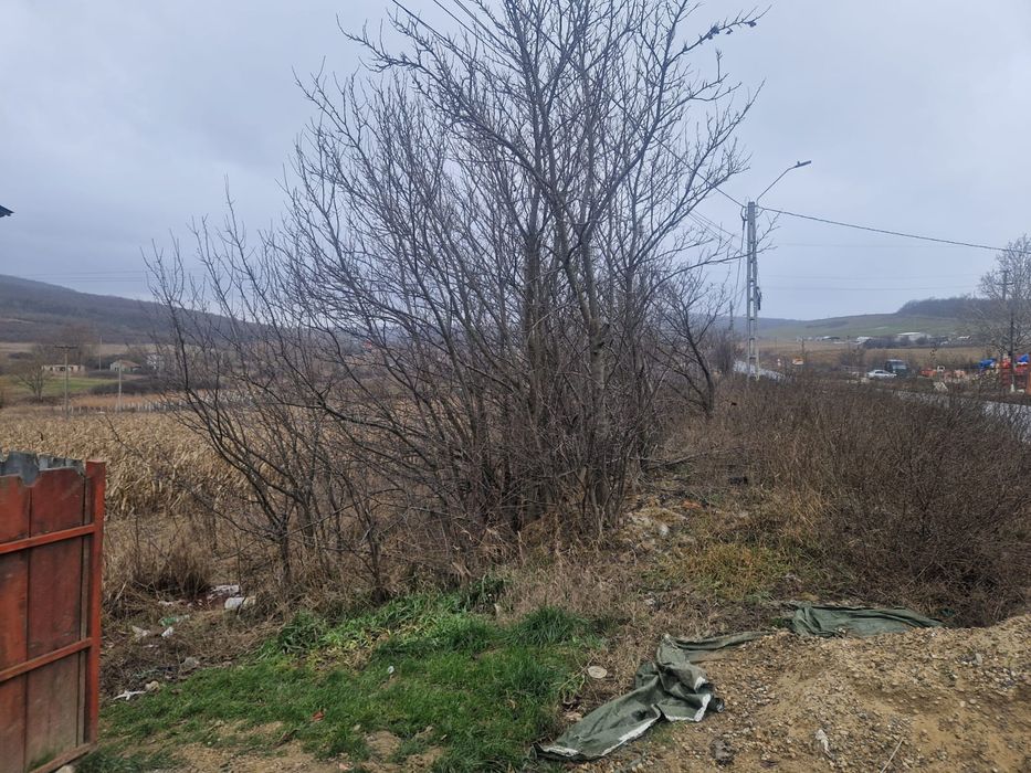 Vad teren la intrare in comuna schitul duca