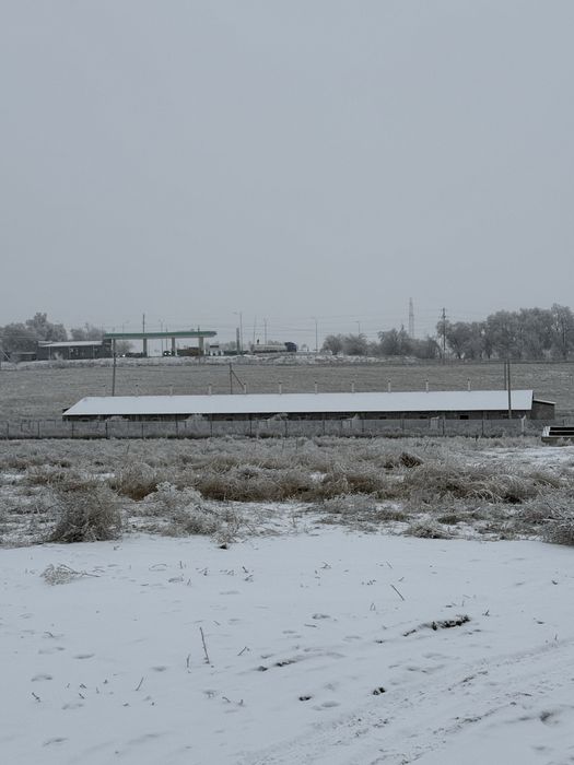 Сдам в аренду землю