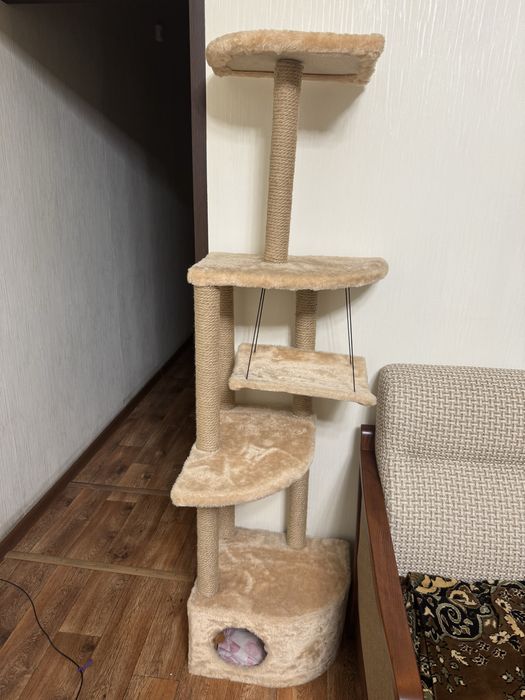 Когтеточка  и домик для кошек