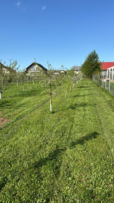 Teren intravilan vanzare strada Traian Popovici , burdujeni Suceava