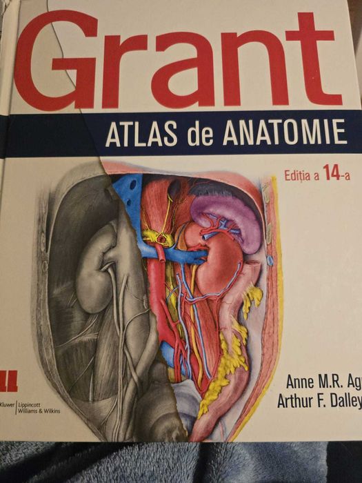 Atlas Grant Medicina 300 RON