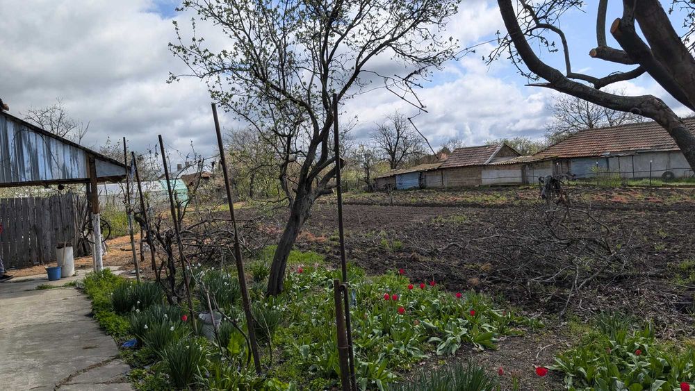 Vand casă bătrânească cu teren generos de ~2000 mp | Comuna Traian, Teleorman