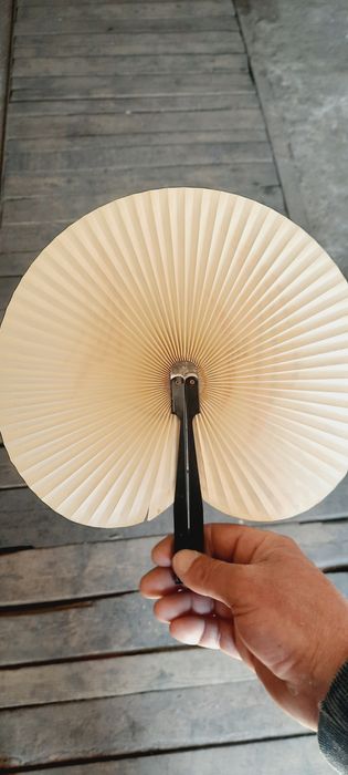 Старо Китайско  Ветрило