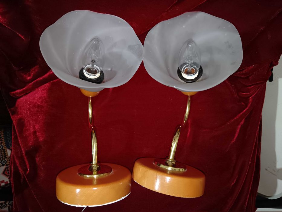 Aplice de perete – set de 2 – sticlă mată, model floare