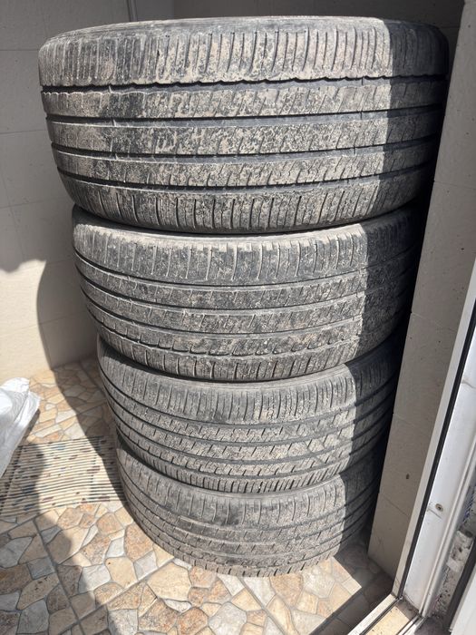 Летный ризина хорошо