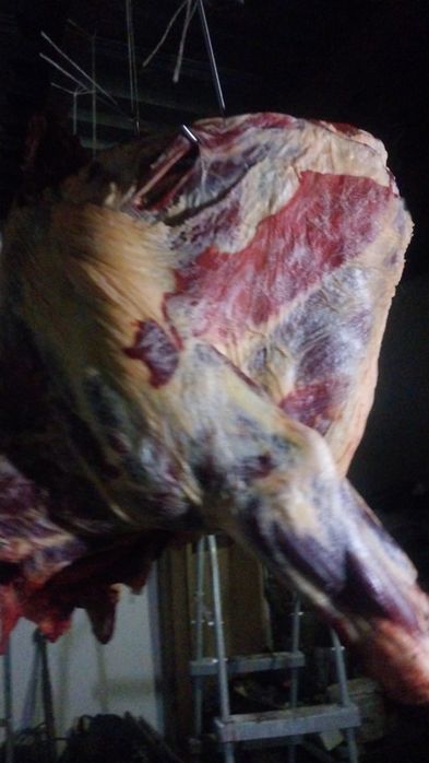 Продам мясо говядина