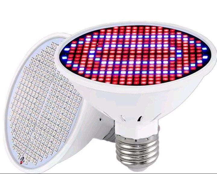 Лед Фито крушка за бърз растеж