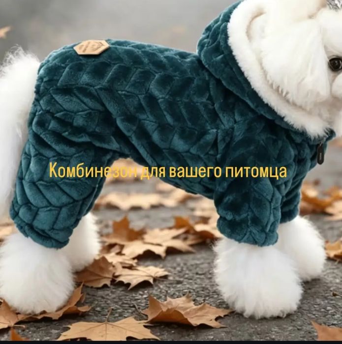Комбинезон для собак и кошек