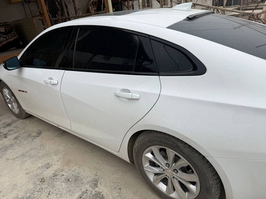 Malibu sotiladi 2023