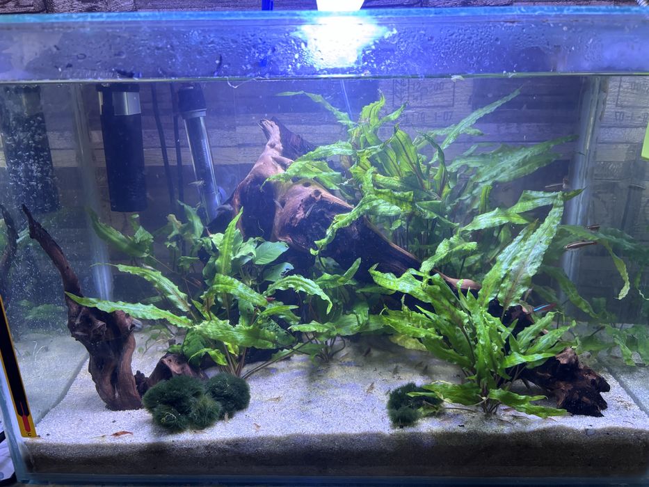 Напълно обурудван аквариум