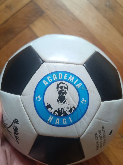 Minge academia hagi semnată