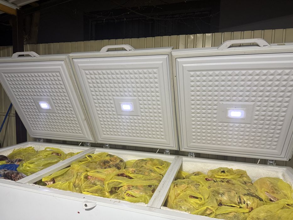 2 маразилника почти новыи