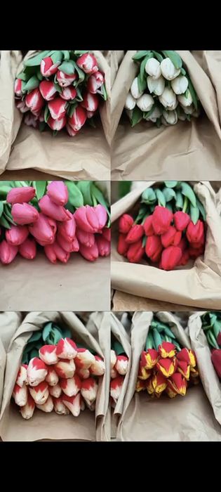 Продаём тюльпаны отличного качество!!!