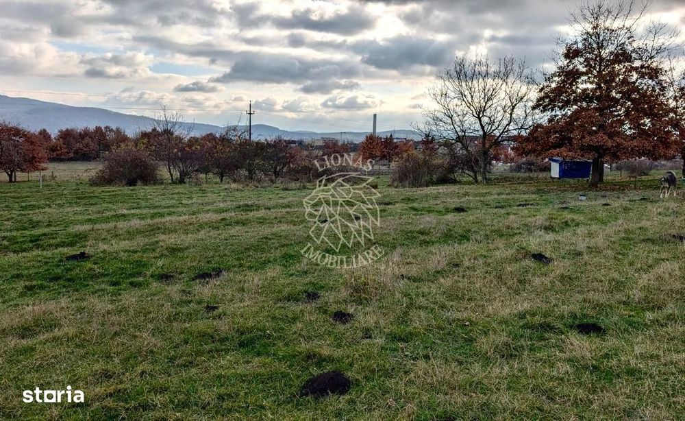 Teren intravilan 1433 mp-Parcelabil-ideal casa-Zona Dr. Dumitrei
