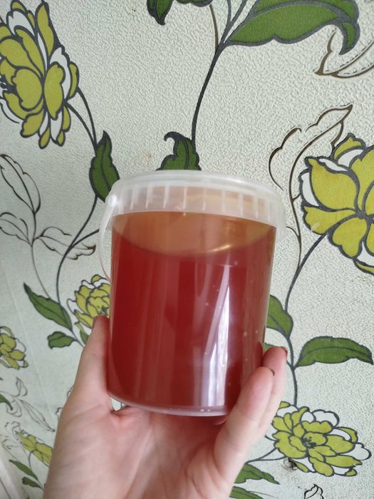 МЁД, разнотравье с подсолнухом