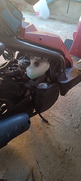 Хонда Зумер Honda Zoomer