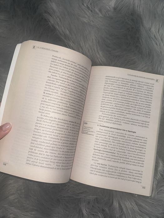 Carte de comentarii pentru Bac,ideala pentru pregatirea la lb.romana