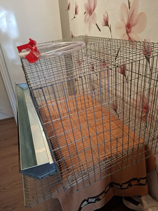 Cusca pui,gaini 90/65/50