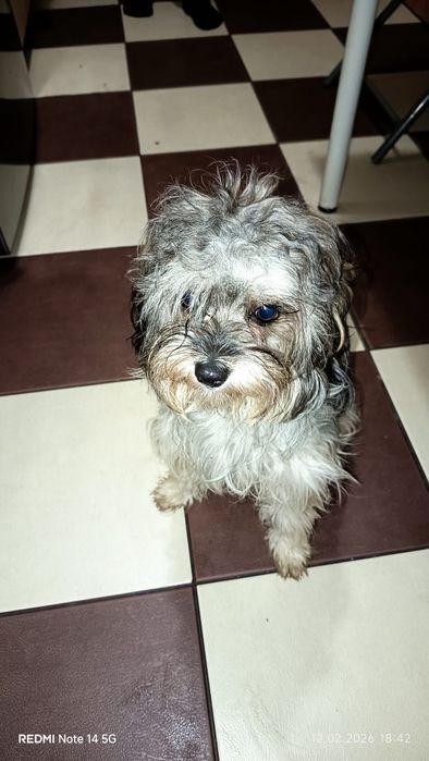 O fetiță spre adopție