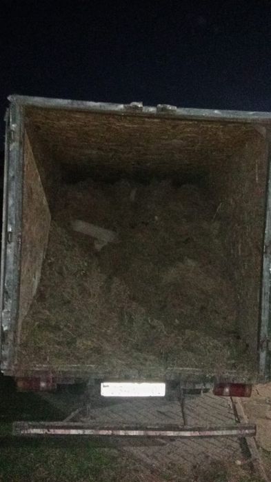 Вывоз мусора в мешках и россыпью