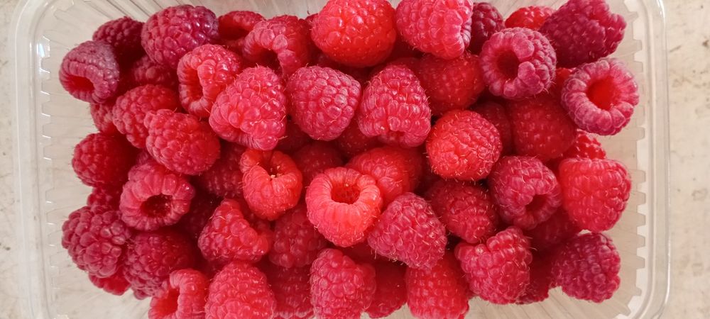 Zmeură de vânzare 30 lei kg