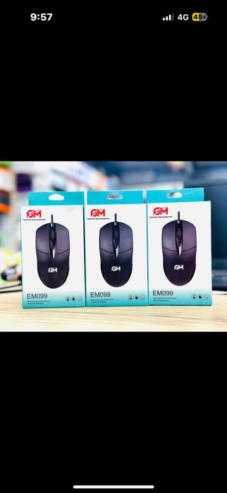 Мышка mouse тінтуір