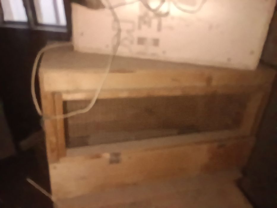 Брудер балапандарға