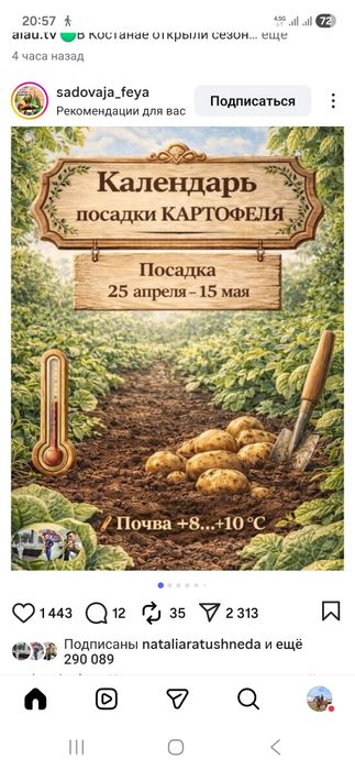Продам картофель. СЕМЯНОЙ.